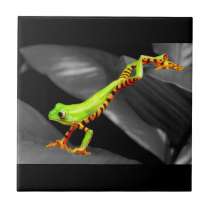 Jumping Tree Frog Tile