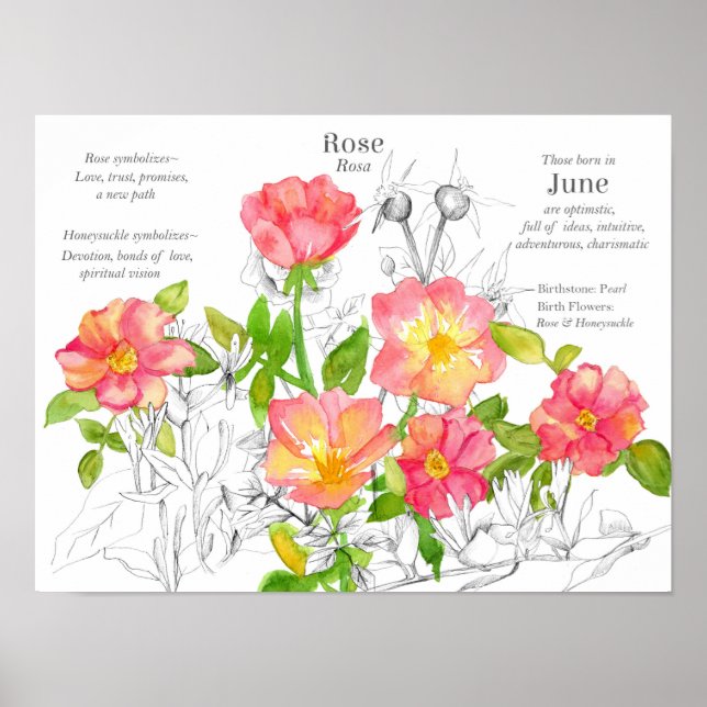 Jun Birthday Wild Roses Honeysuckle Flowers Poster (Front)