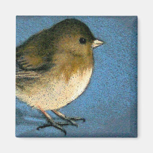 JUNCO BIRD DRAWING MAGNET