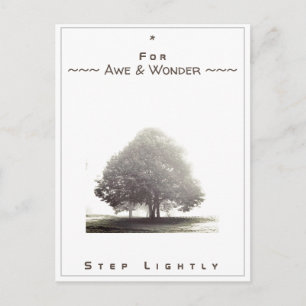 Junction Card No 43: For Awe & Wonder Step Lightly