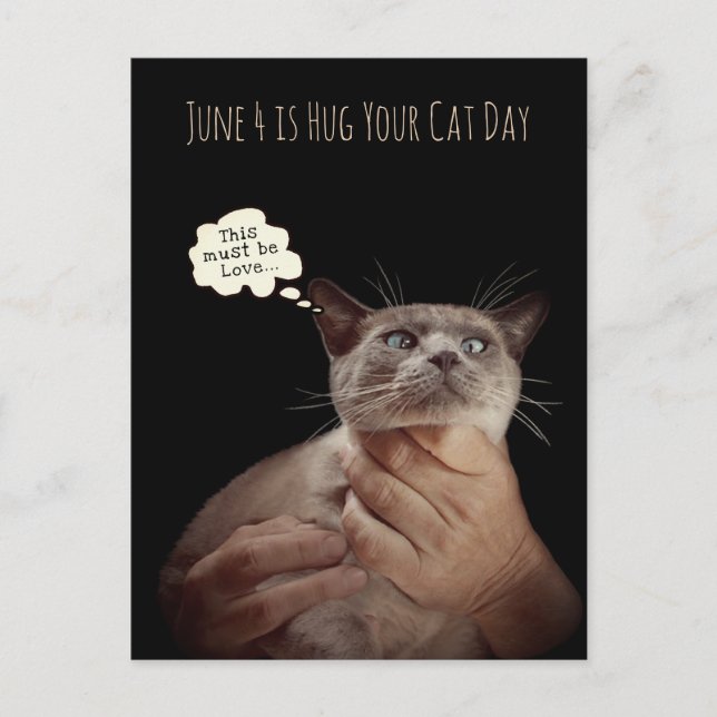 June 4 is Hug your Cat Day Postcard (Front)