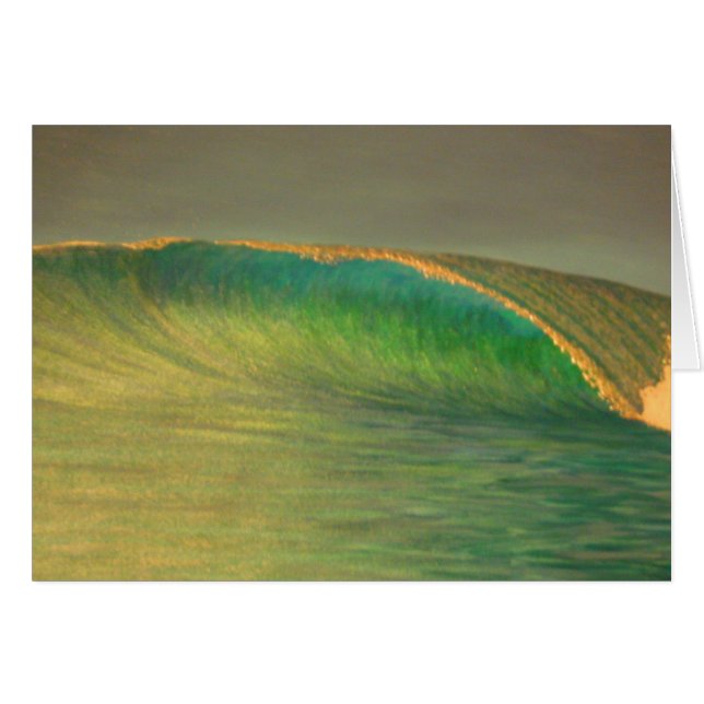 June bug bliss (Front Horizontal)