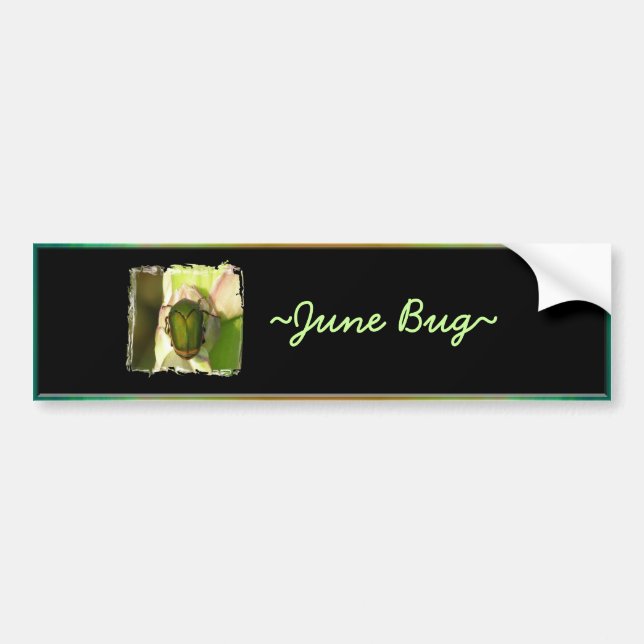 June Bug Bumper Sticker (Front)