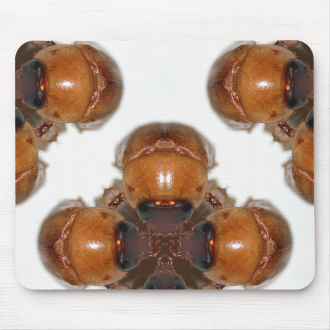 June Bug Gathering by KLM Mouse Pad (Front)