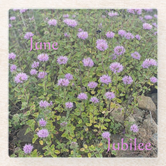 June Jubilee Glass Coaster (Front)