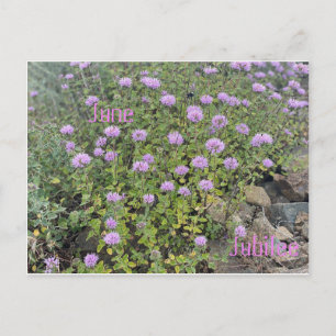 June Jubilee Postcard