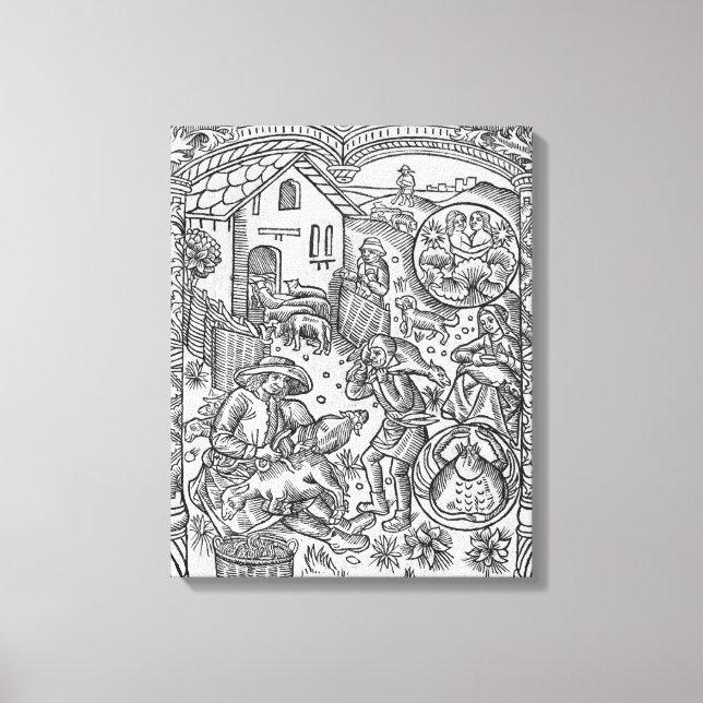 June, sheep shearing, Gemini Canvas Print (Front)