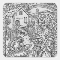 June, sheep shearing, Gemini