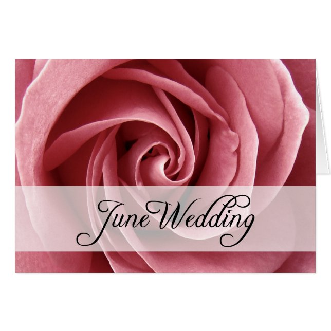 June Wedding : rose of the season : (Front Horizontal)