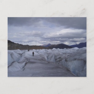 Juneau Icefield Postcard