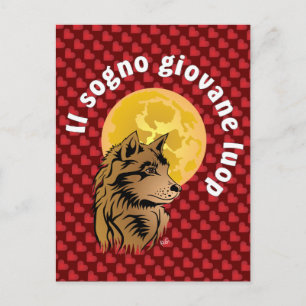 junger träumender Wolf Postkarte Postcard