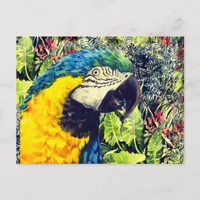 Jungle and a blue yellow macaw holiday postcard (Front)