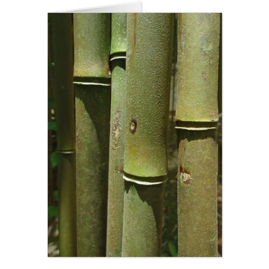 Jungle Bamboo Detail Card
