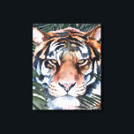 Jungle Cat - Tiger Canvas Print<br><div class="desc">Jungle Cat I by Jennifer Paxton Parker. This art features a close-up of a stoic tiger in a soft art style. | 164728Z</div>