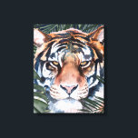 Jungle Cat - Tiger Canvas Print<br><div class="desc">Jungle Cat I by Jennifer Paxton Parker. This art features a close-up of a stoic tiger in a soft art style. | 164728Z</div>