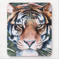 Jungle Cat - Tiger