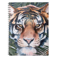 Jungle Cat - Tiger