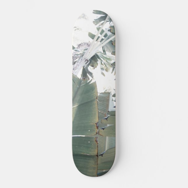 Jungle Finesse #1 #tropical #wall #art  Skateboard (Front)