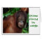 Jungle Girl Lipstick Beauty Advice