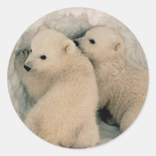 Jungle Jewels Stickers