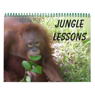 Jungle Leçons calendrier animal sauvage