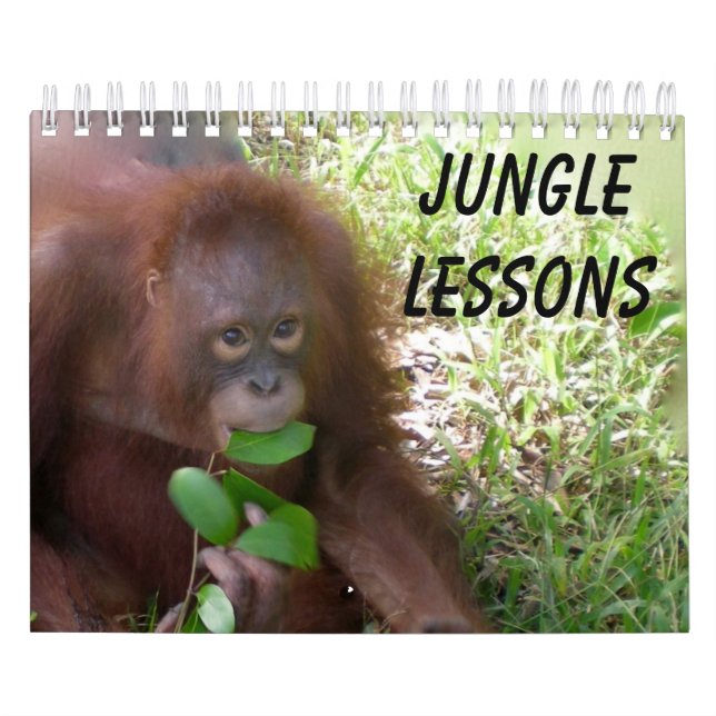 Jungle Lessons wildlife calendar (Cover)