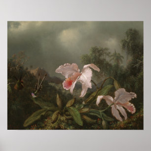 Jungle Orchids and Hummingbirds Poster