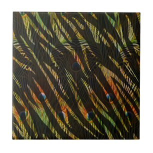 Jungle Pattern Zebra Stripes and Peacock Feathers Tile