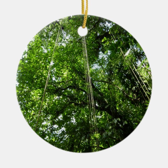 Jungle Ropes Rainforest Photography Ceramic Ornament (Front)