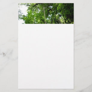 Jungle Ropes Rainforest Photography Stationery