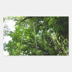 Jungle Ropes Rainforest Photography Sticker