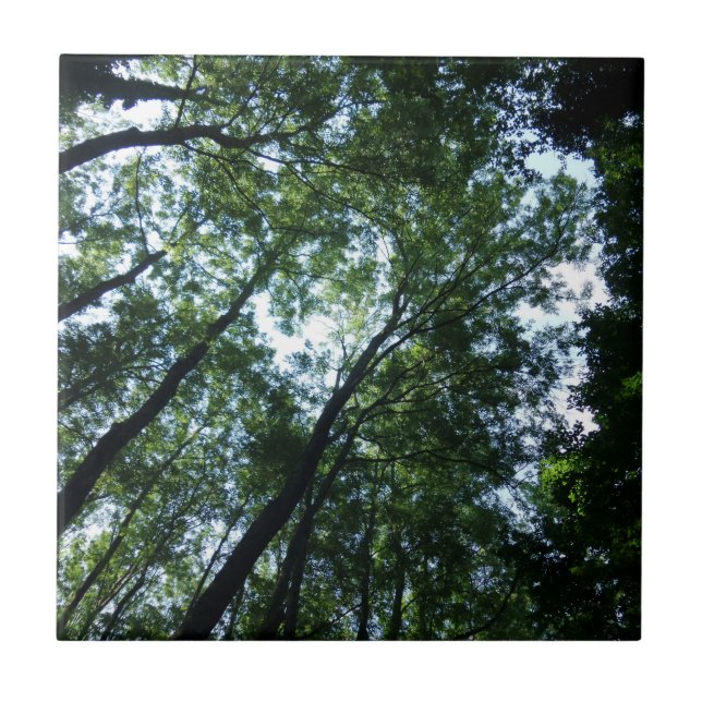 Jungle Small (4.25" x 4.25") Ceramic Photo Tile (Front)