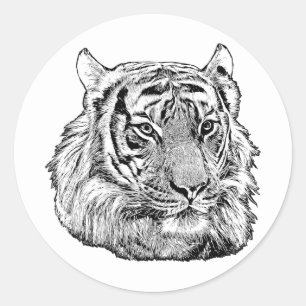 Jungle Tiger Face safari animal original nature  Classic Round Sticker