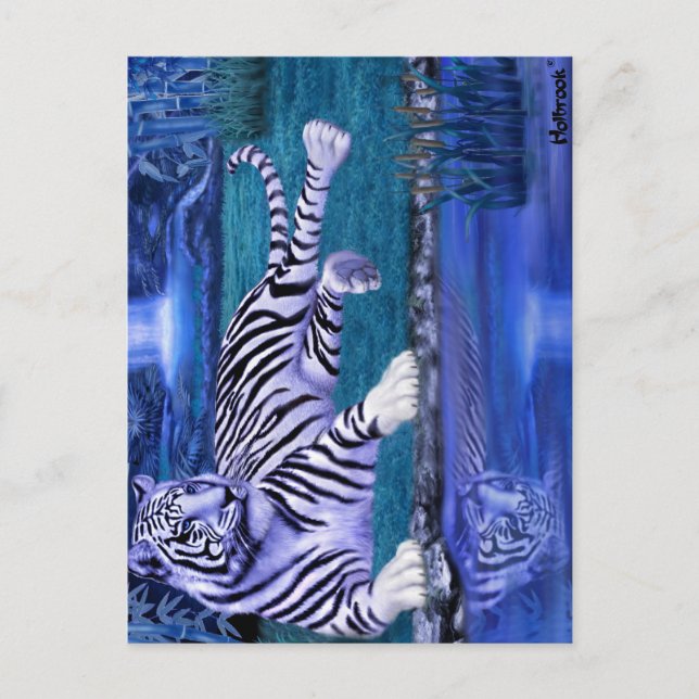 JUNGLE TIGER.JPEG POSTCARD (Front)