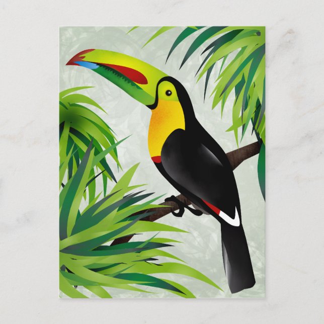 Jungle Toucan Postcard (Front)