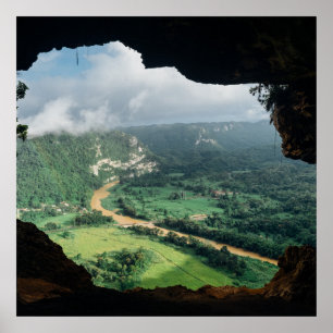 Jungle window poster