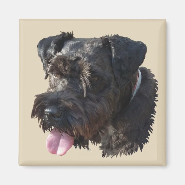 Junior The Schnauzer, aimant (Devant)