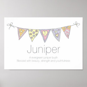 Juniper girls name and meaning bunting poster