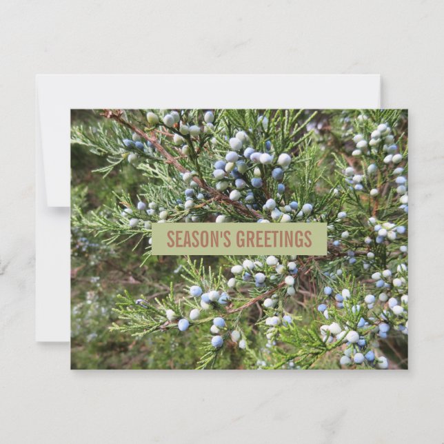 Juniper paycaping carte de vacances affaires (Devant)