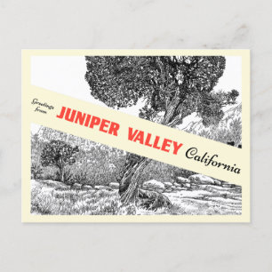 Juniper Valley Gift Shop Postcard