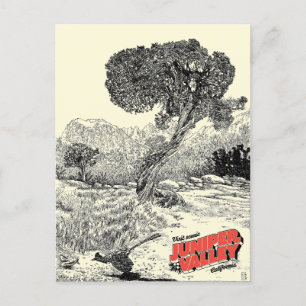Juniper Valley Wilderness - Postcard