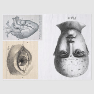 Junk Journal Anatomy Elements Sheet