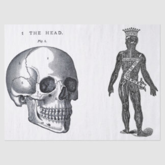 Junk Journal Anatomy Elements Sheet