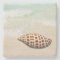 Junonia Seashell on the Beach Coasters