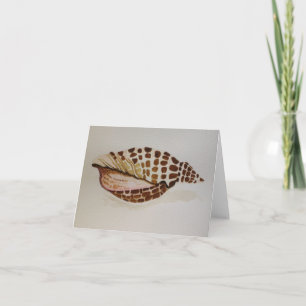 Junonia Shell - Blank Greeting Card