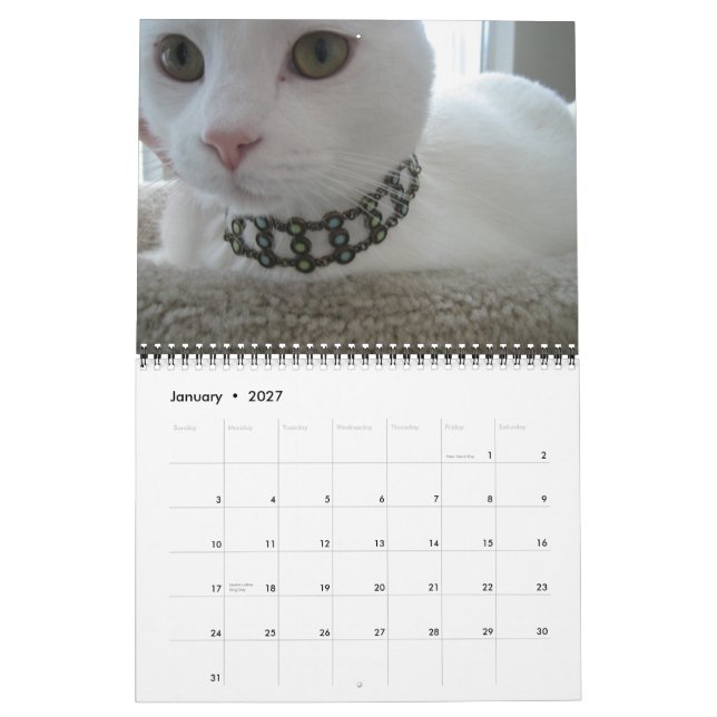 Jupiter and Kona's 2011-2012 Kitty Calender Calendar (Jan 2027)