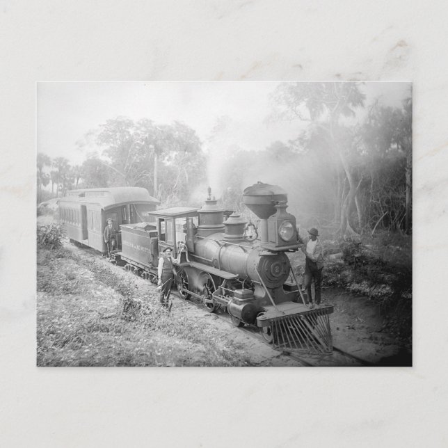 Jupiter and Lake Worth Railroad, 1897 Postcard (Front)