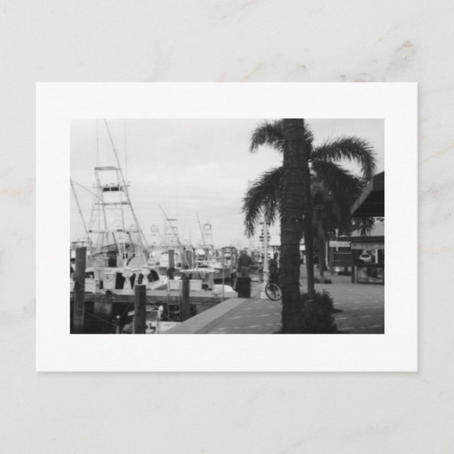 Jupiter, Florida Black & White Photo postcard (Front)