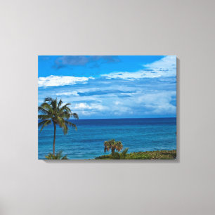 Jupiter Florida Canvas Print