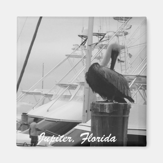 Jupiter, Floride Bateaux & Pélican photo Magnet (Devant)